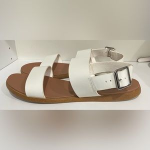 Women’s Steve Madden Daryn Sandal